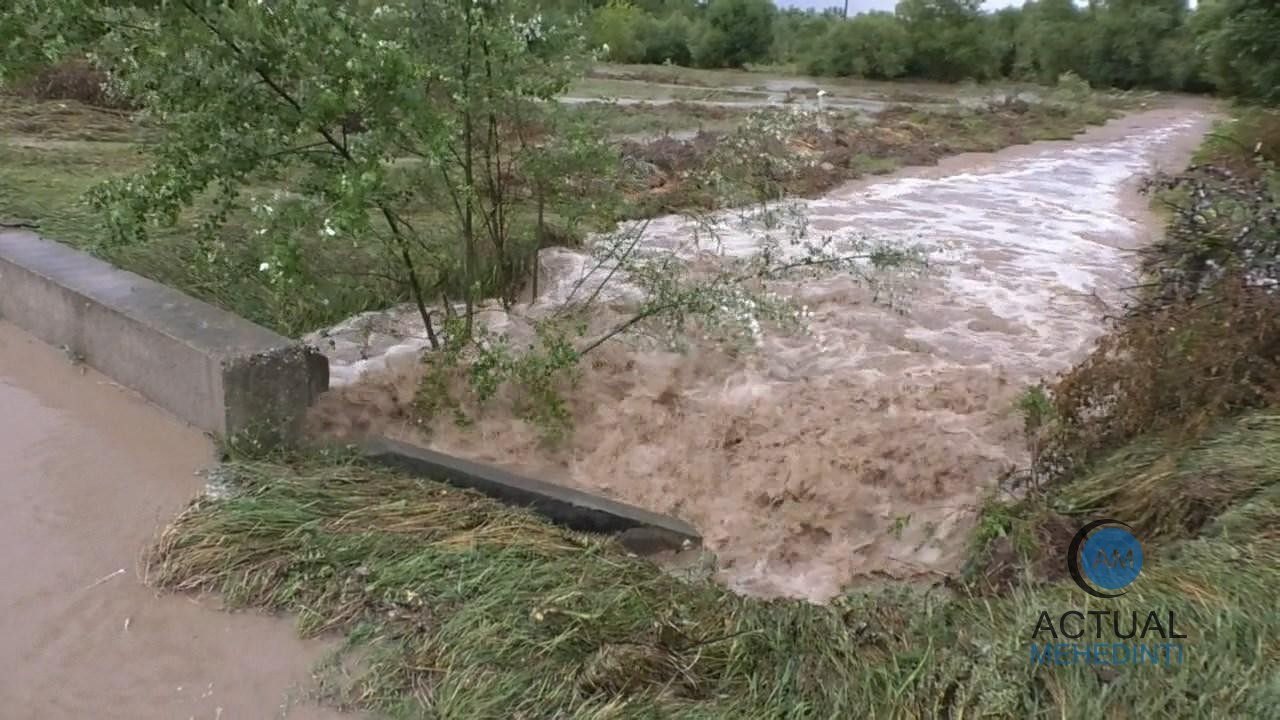 Dezastru, în urma codului roșu de vreme rea! Case și gospodării inundate și animale luate de viituri, în Bâcleș!