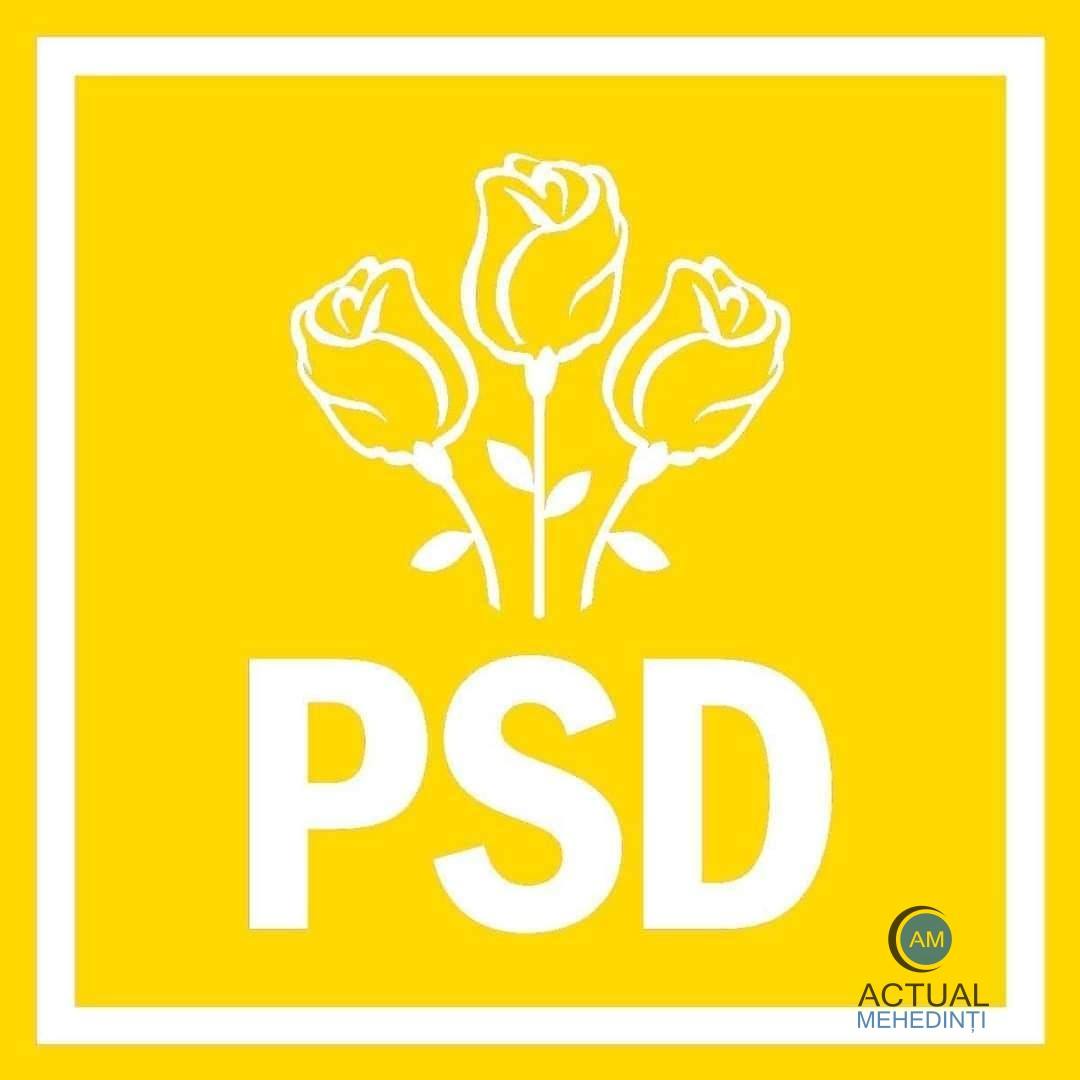 Spinii trandafirilor PSD! Lider PSD, despre primarii fugiți sub umbrela altui partid: „Nu îmi place genul acesta de negocieri”. Președintele PNL: „Sunt curios ce părere au primarii ai PSD când vor avea de împărțit banii cu primarii veniți din PNL”.