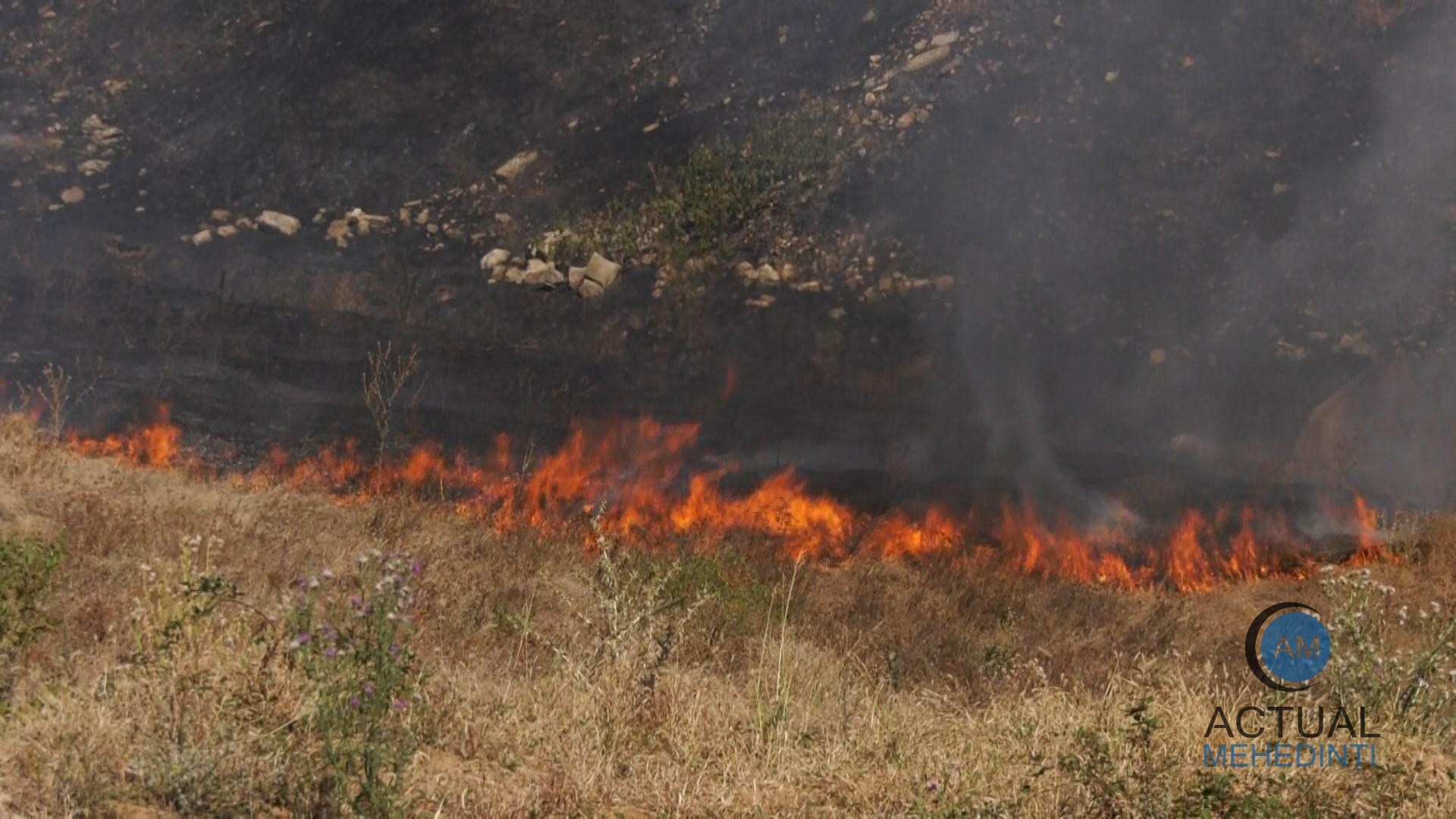 Peste 200 de incendii de vegetație, în lunile de toamnă! Au ars aproape 2.500 de hectare de miriște.