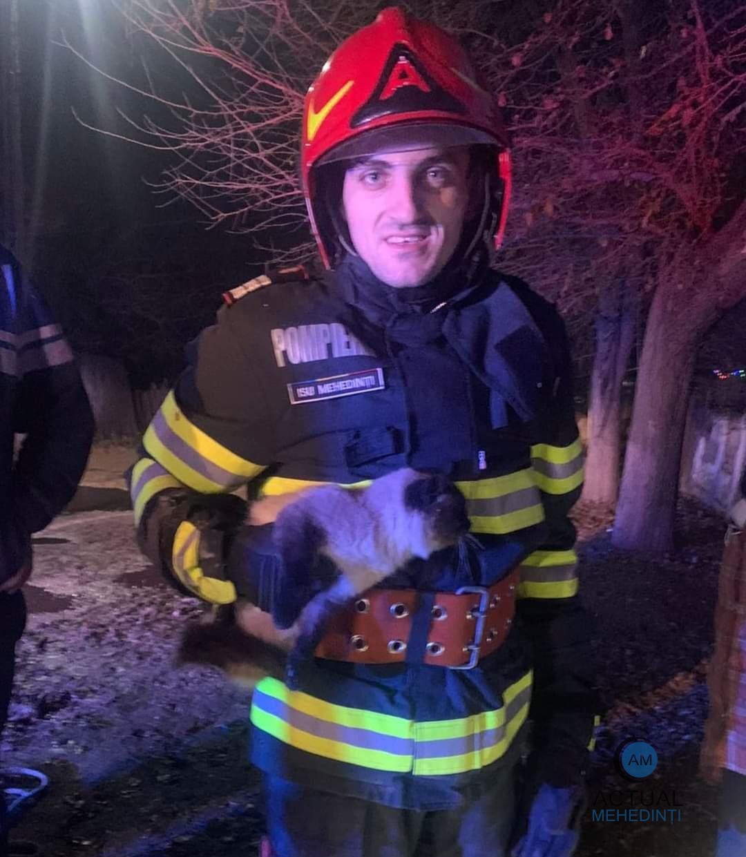 Pisică salvată dintr-o fântână adâncă de 20 de metri!