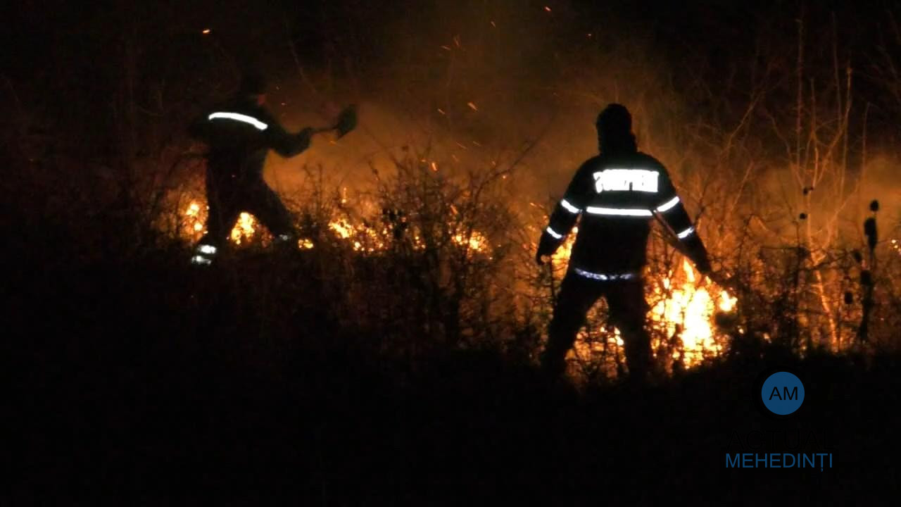 Incendiu de vegetație uscată pe zeci de hectare! Flăcările s-au extins cu repeziciune din cauza vântului.