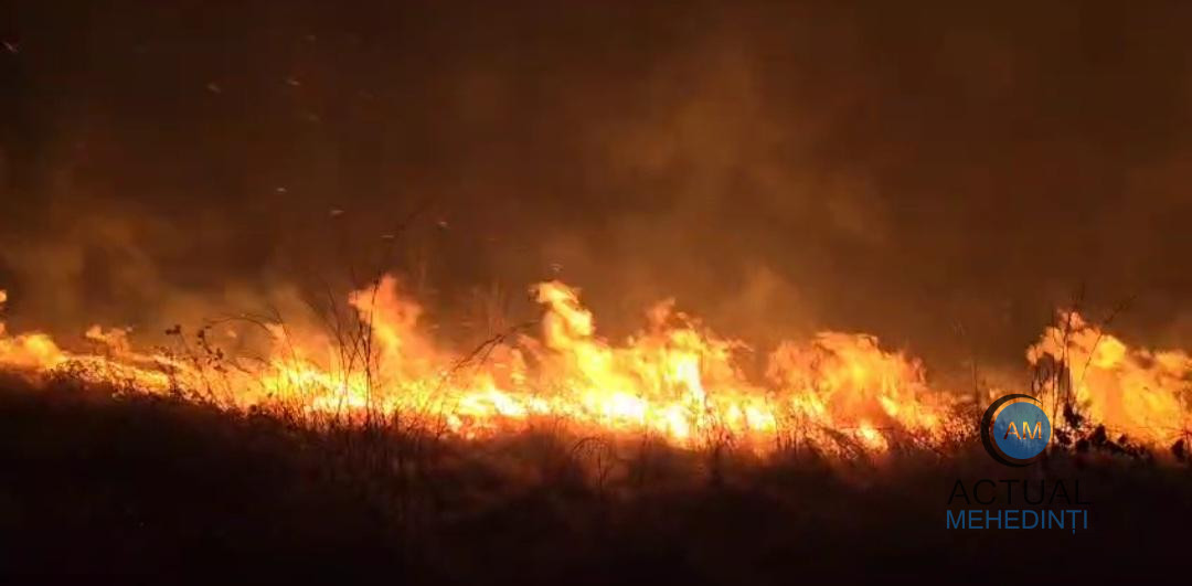Incendiu violent lângă Combinatul Chimic! Peste 100 de hectare de vegetație au ars.