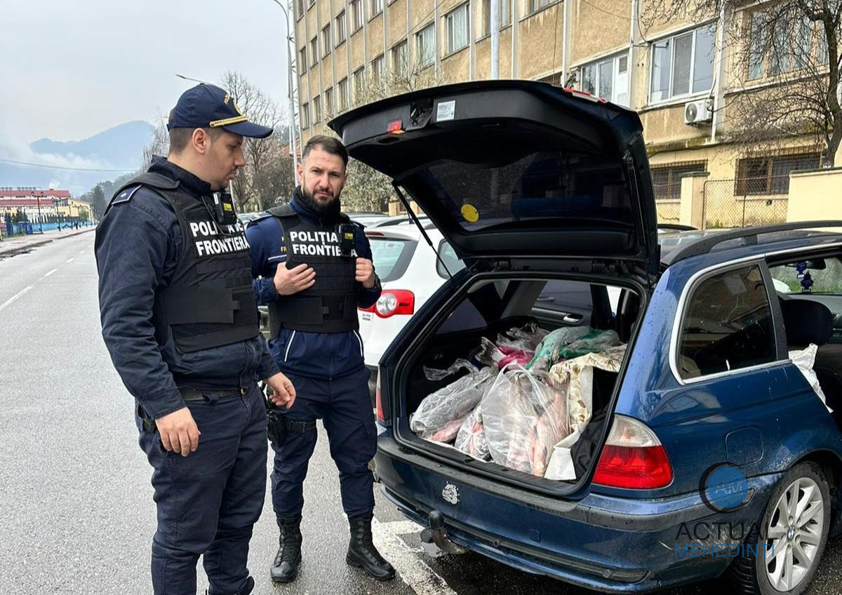 Captură ridicată de pește, fără documente! Poliția de frontieră a confiscat marfa.