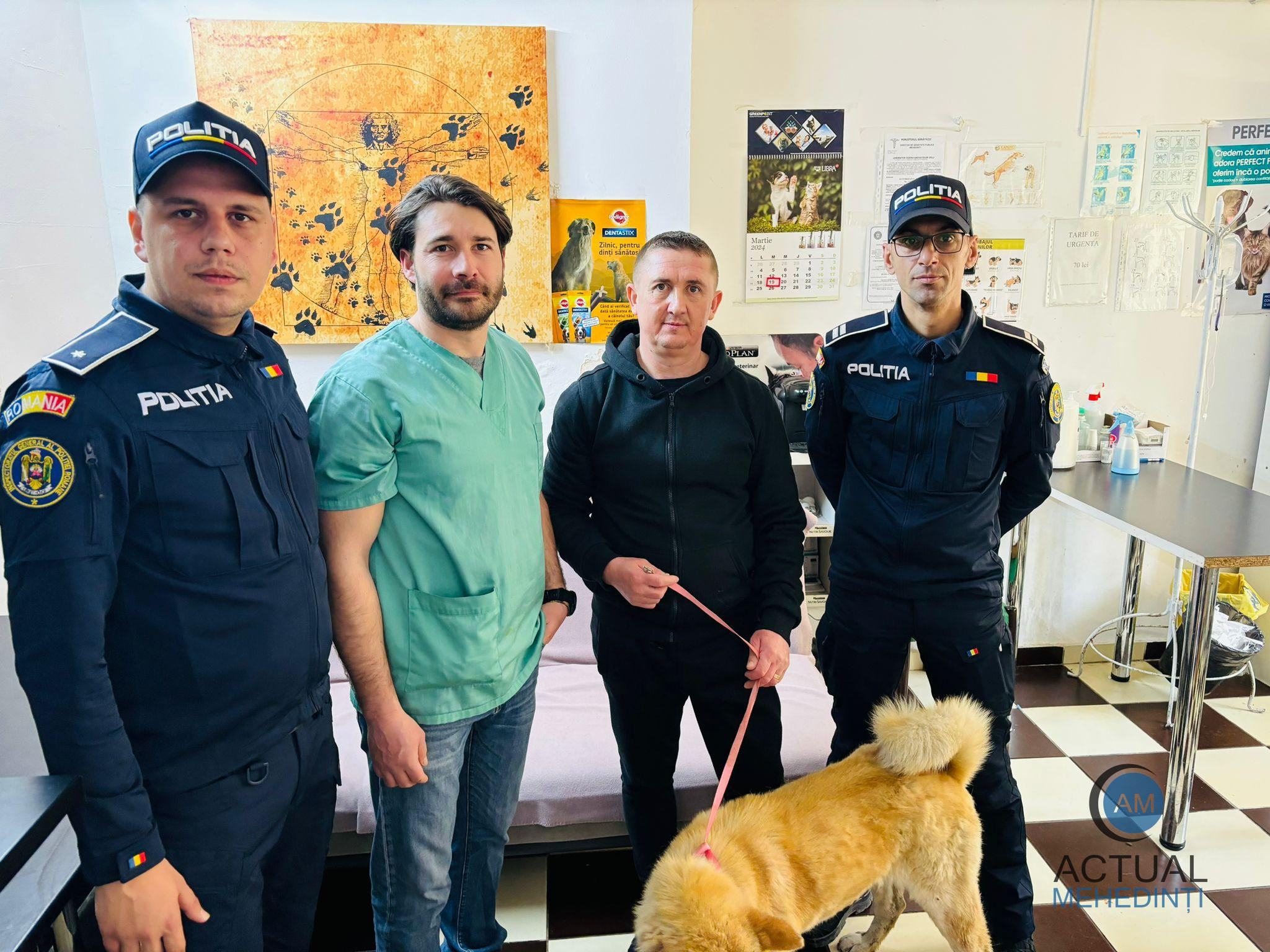 Viața unui câine, salvată de polițiștii mehedințeni! Animalul fusese împușcat. „Dacă polițiștii nu interveneau repede, câinele meu nu ar fi supreviețuit.”