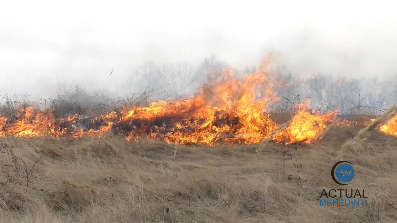 Incendiile de vegetație iau amploare. Peste 40 de hectare de litieră au ars ieri.