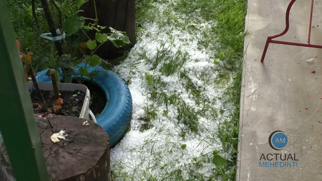 Grindina a făcut prăpăd în gospodăriile mehedințenilor. Vremea rea a distrus totul în cale.