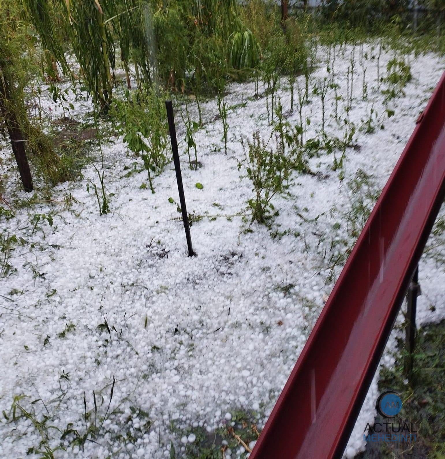 Grindină și ploi masive! Vremea rea a făcut prăpăd în Mehedinți.