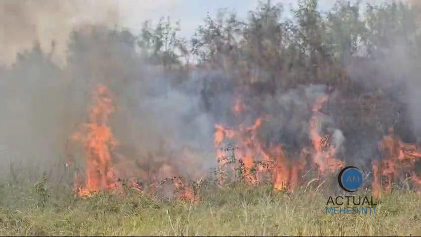 Sute de hectare de vegetație au ars. Pompierii trag un semnal de alarmă.