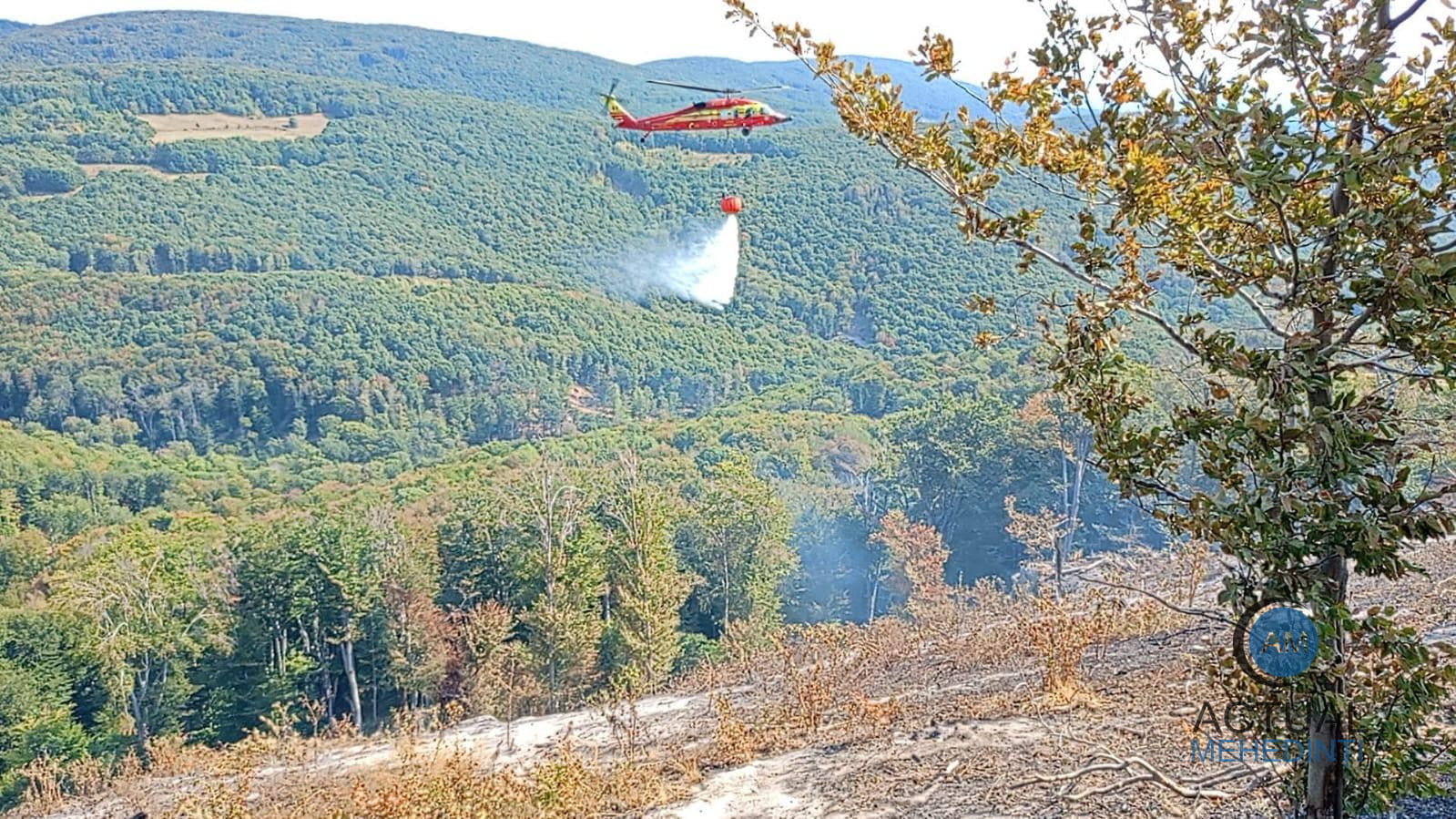 Incendiul din Svinița a fost stins după o săptâmână. 130 hectare au fost afectate.