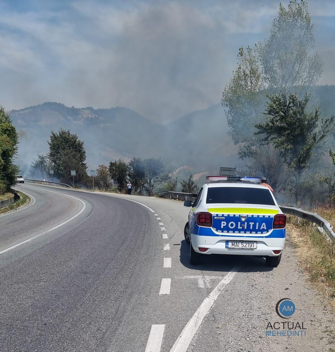 Incendiu de vegetație, extins pe drumul național!