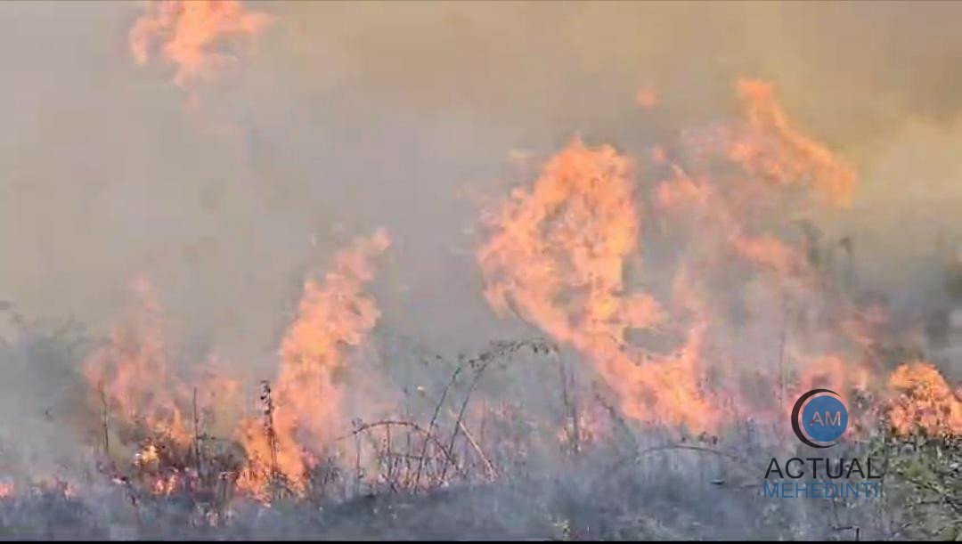 Amenzi în valoare de 14.000 lei și 4 dosare penale, pentru cei care au dat foc vegetației uscate!