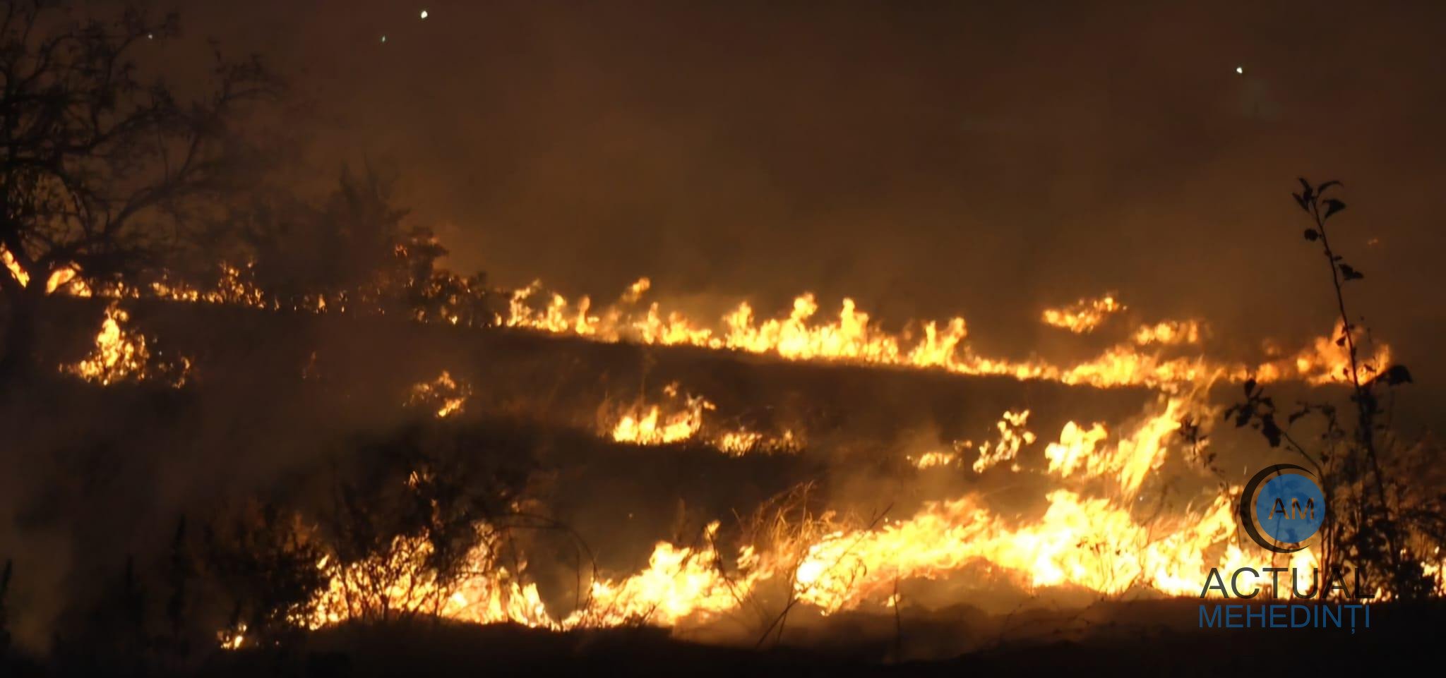 Peste 200 de hectare de vegetație au ars în acest weekend. Poliția a aplicat amenzi în valoare de peste 80.000 lei celor care au pus intenționat focul.