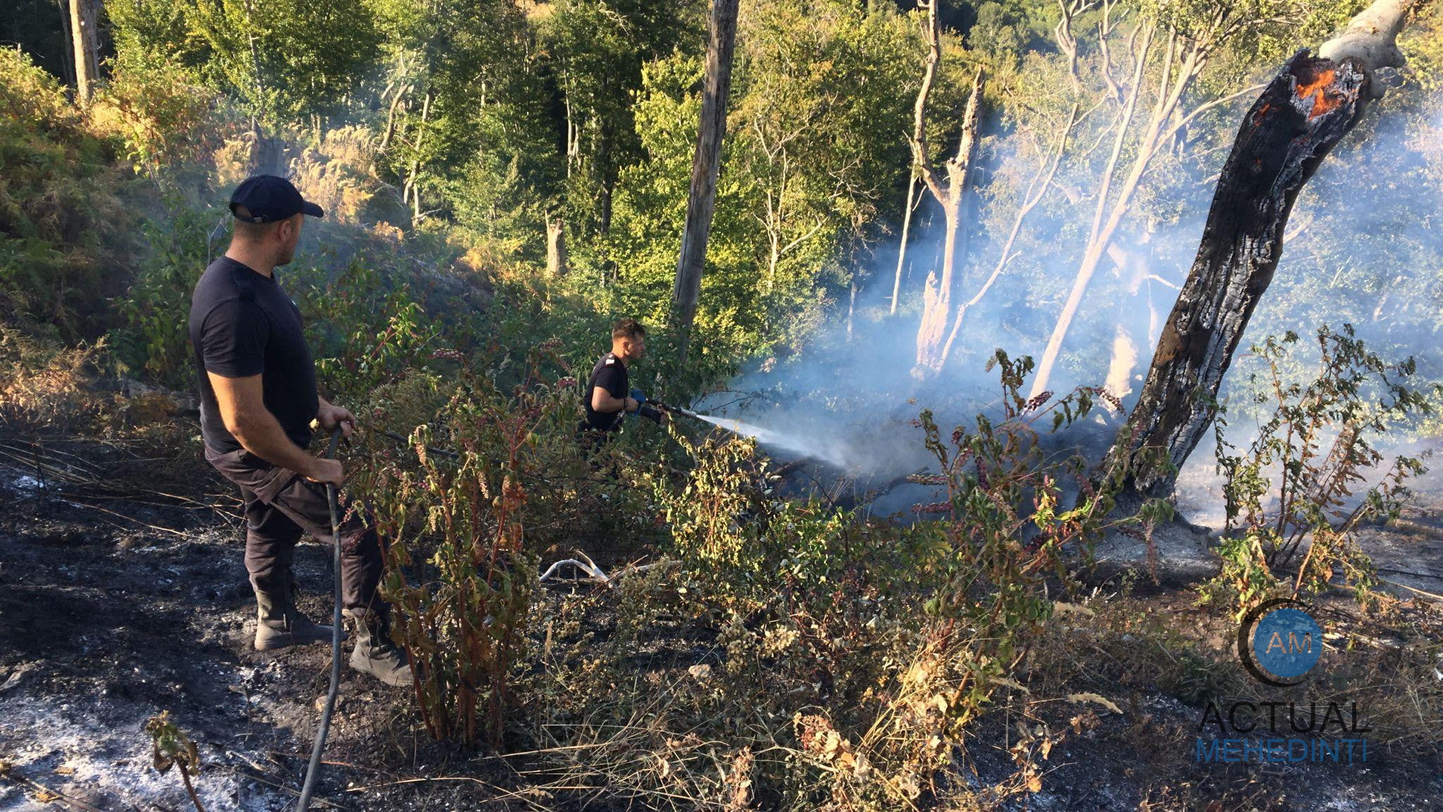 „M-am trezit cu focul lângă casă”: incendiile din Parcul Natural au ajuns în apropierea gospodăriilor, în weekend.