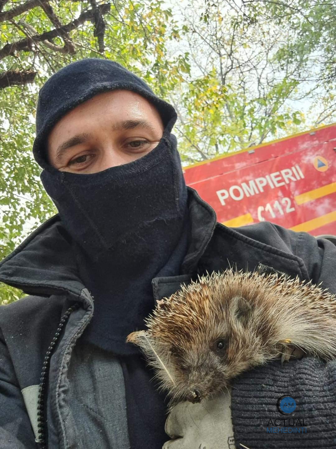 Mici viețuitoare, salvate din flăcări, de pompieri!