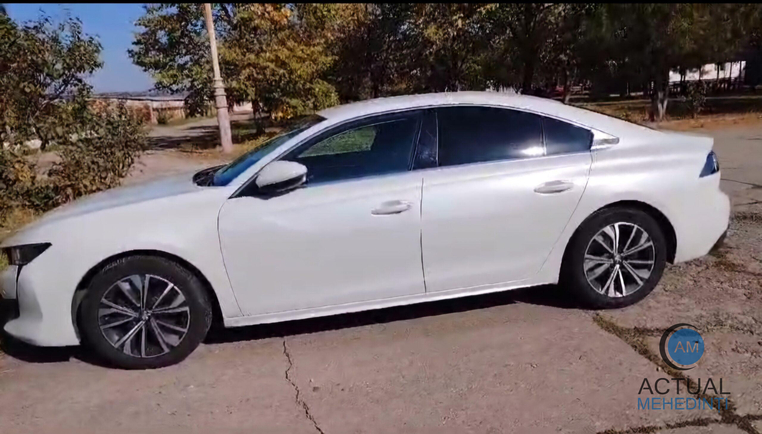 Bolid furat din Spania, găsit în Mehedinți! Șoferul a încercat să intre în țară cu autoturismul, prin vama PF I.