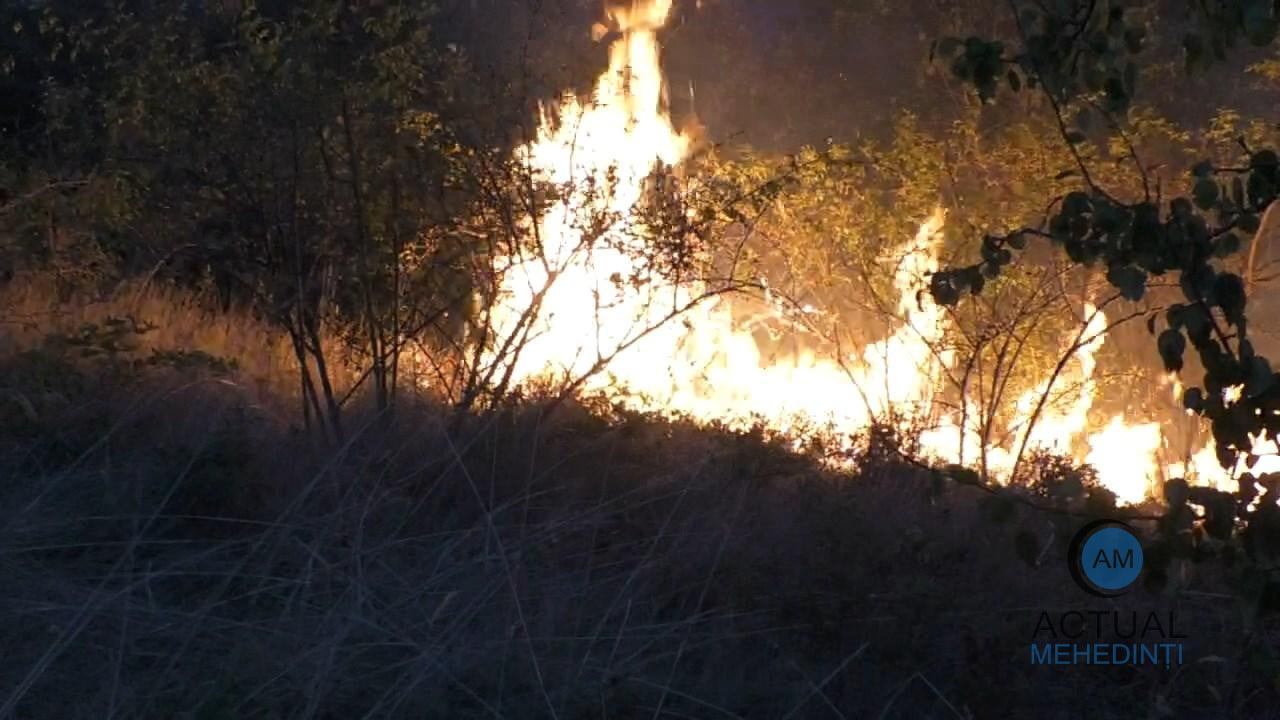 Gospodării în pericol: flăcările se extind din Bâlvănești, spre Godeanu. „Am scos animalele din curte de teamă că iau foc”. „Cei vinovați trebuie să plătească”
