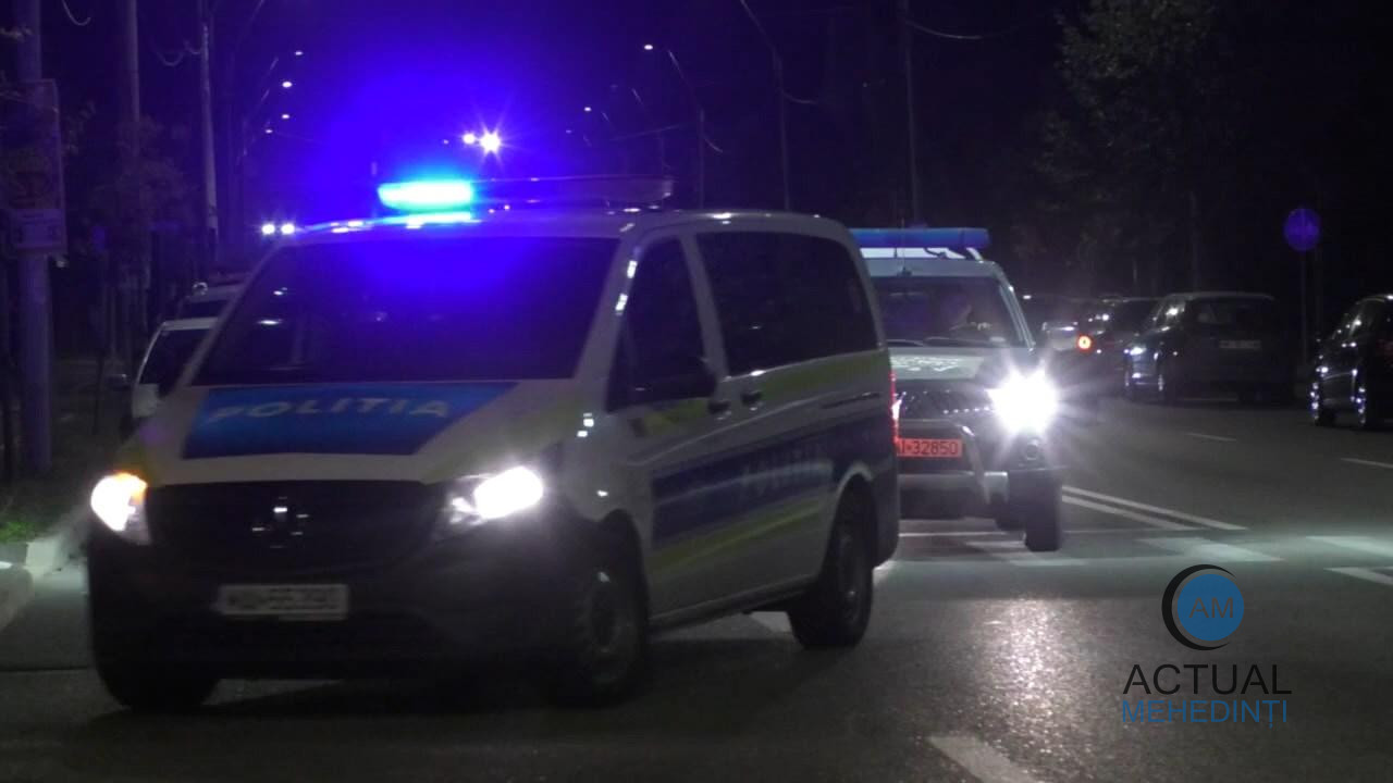Amplă razie în trafic: șoferi lăsați fără permis, transporturi ilegale de lemn și sancțiuni drastice!