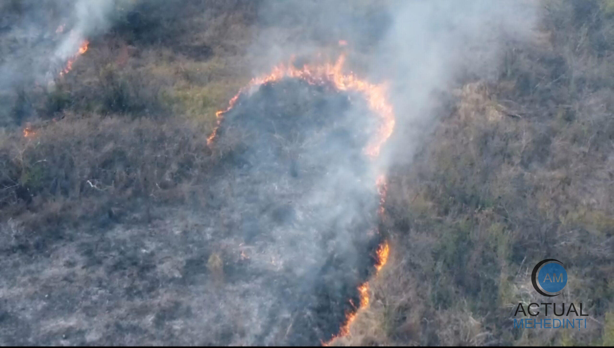 Incendiu de vegetație, pe Dealul Viilor!