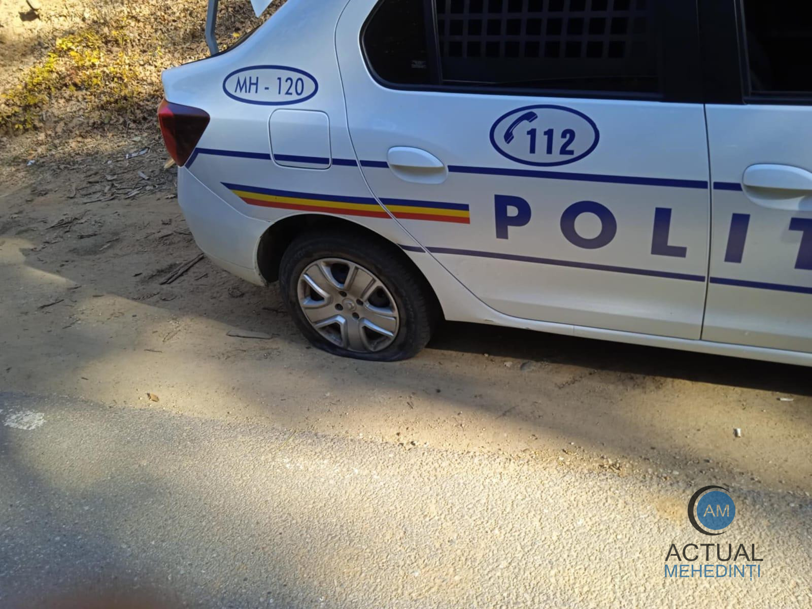 Pădurar agresat, autospeciale de poliție, avariate de un hoț de lemne! S-au tras focuri de armă pentru prinderea făptașului.