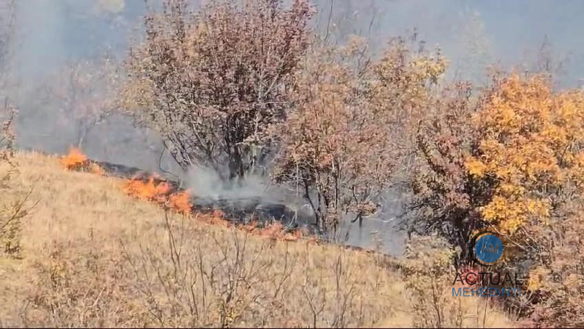 Incendiu de vegetație, extins pe patru hectare! Au ars mărăciniș și lăstăriș, iar pompierii au intervenit cu forțe sporite.