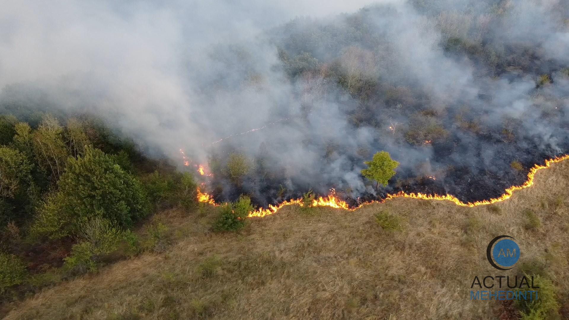 Incendiu extins pe zeci de hectare, la Svinița! Echipe mixte intervin pentru stingerea flăcărilor.