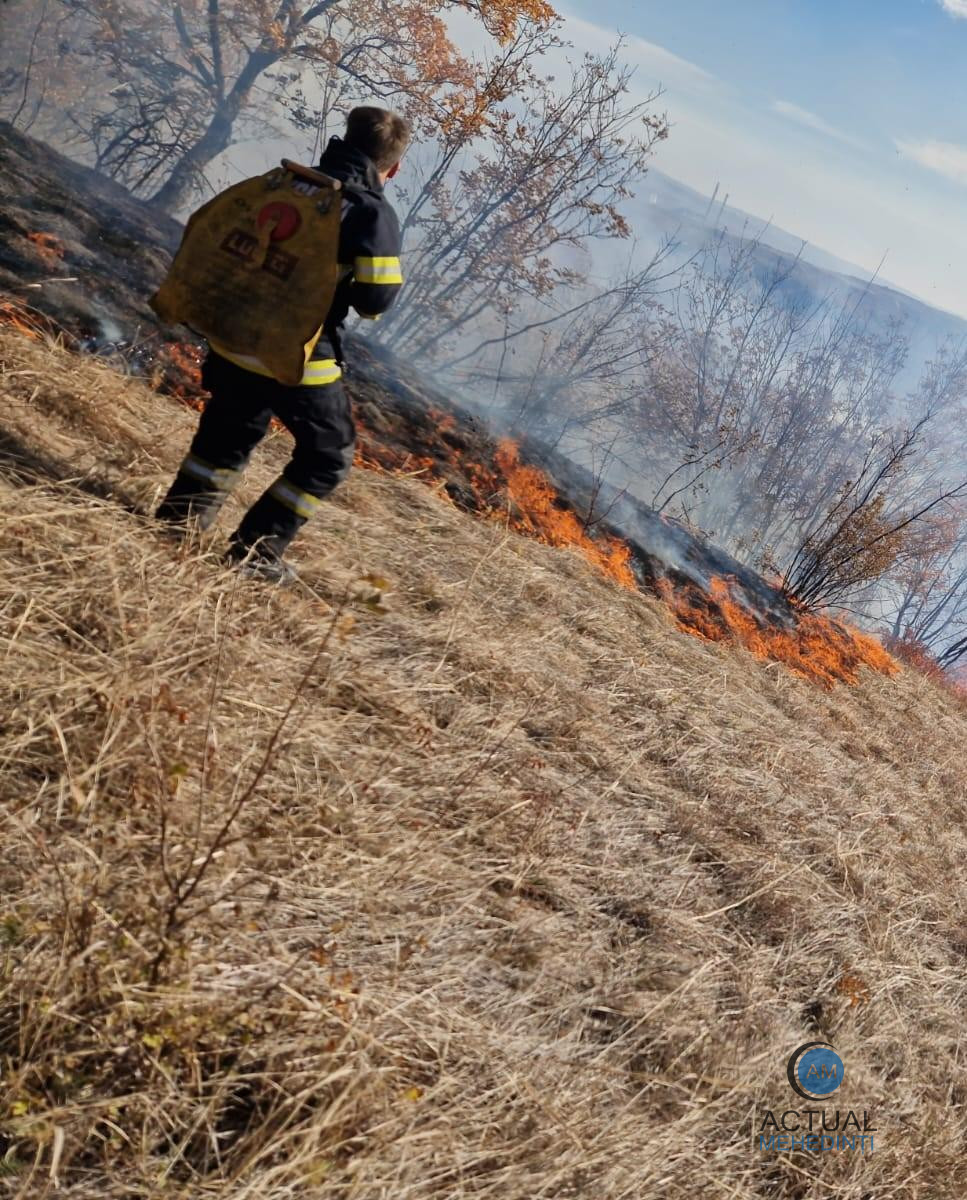 250 de hectare de vegetație au fost cuprinse de flăcări!