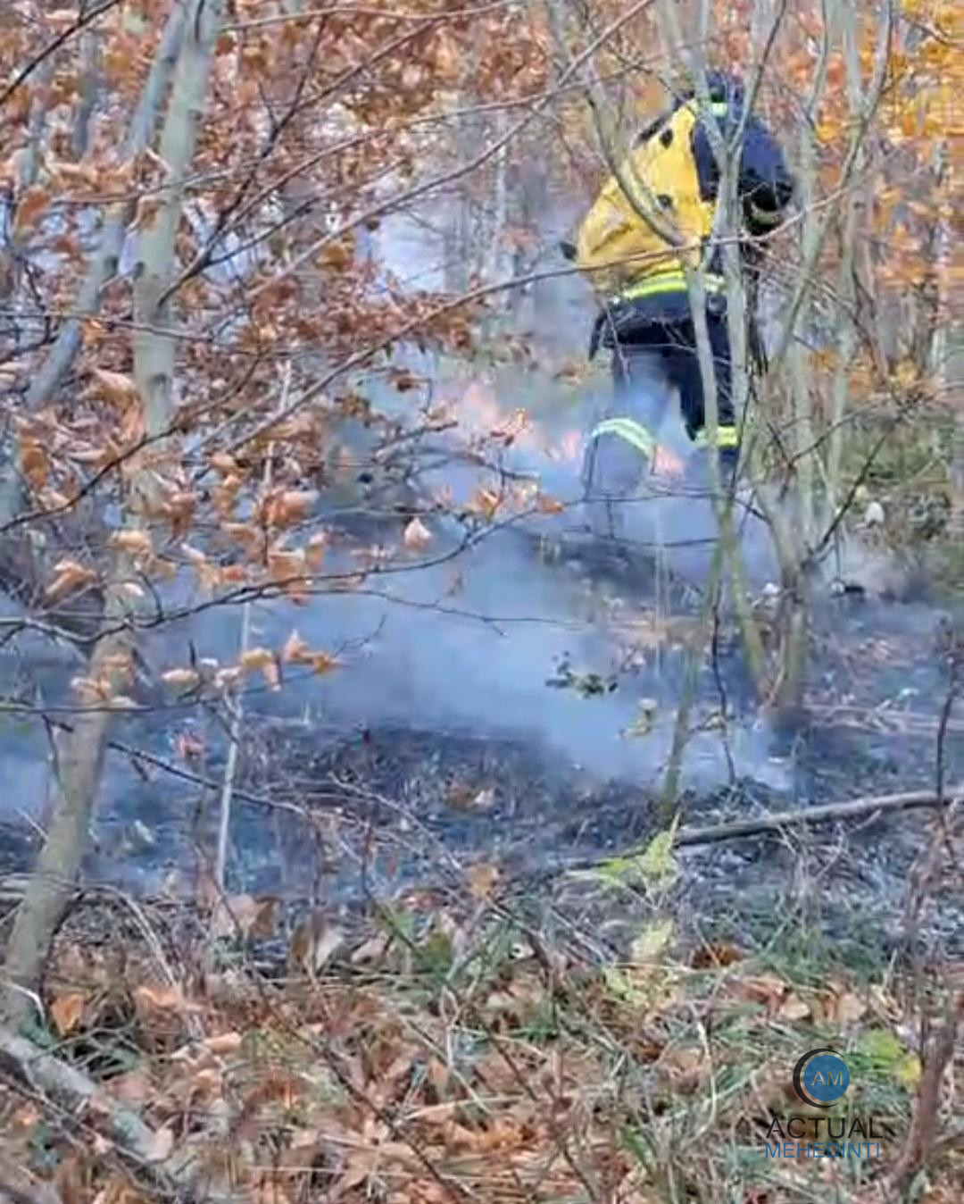 Incendiul de la Svinița s-a extins pe parcursul nopții. Autoritățile au solicitat sprijin aerian.