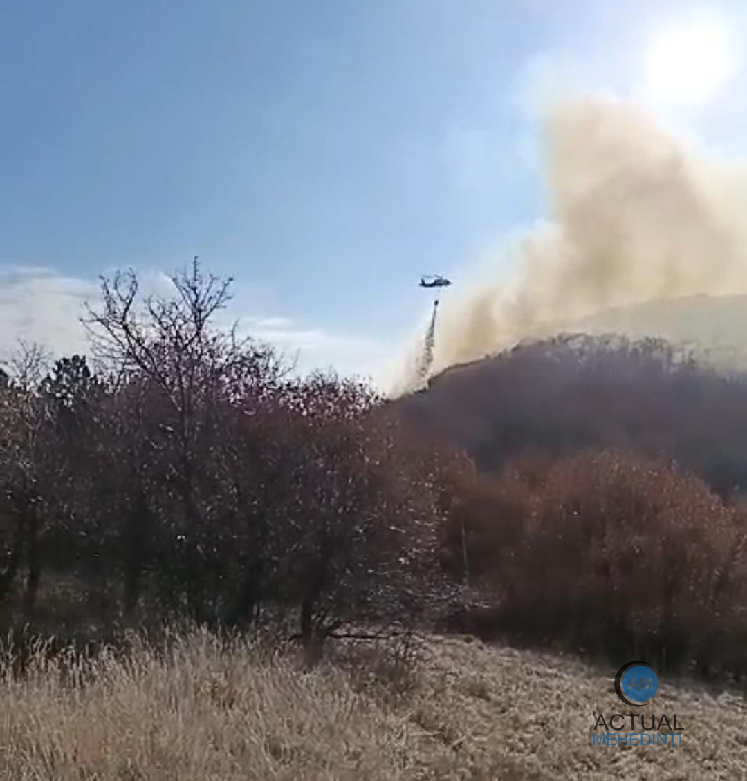 Incendii de proporții: sute de hectare de vegetație, afectate de flăcări!