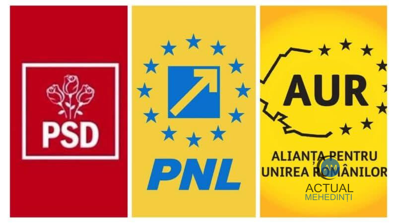 PSD, AUR și PNL conduc, în Mehedinți, după numărarea voturilor din 255 de secții.