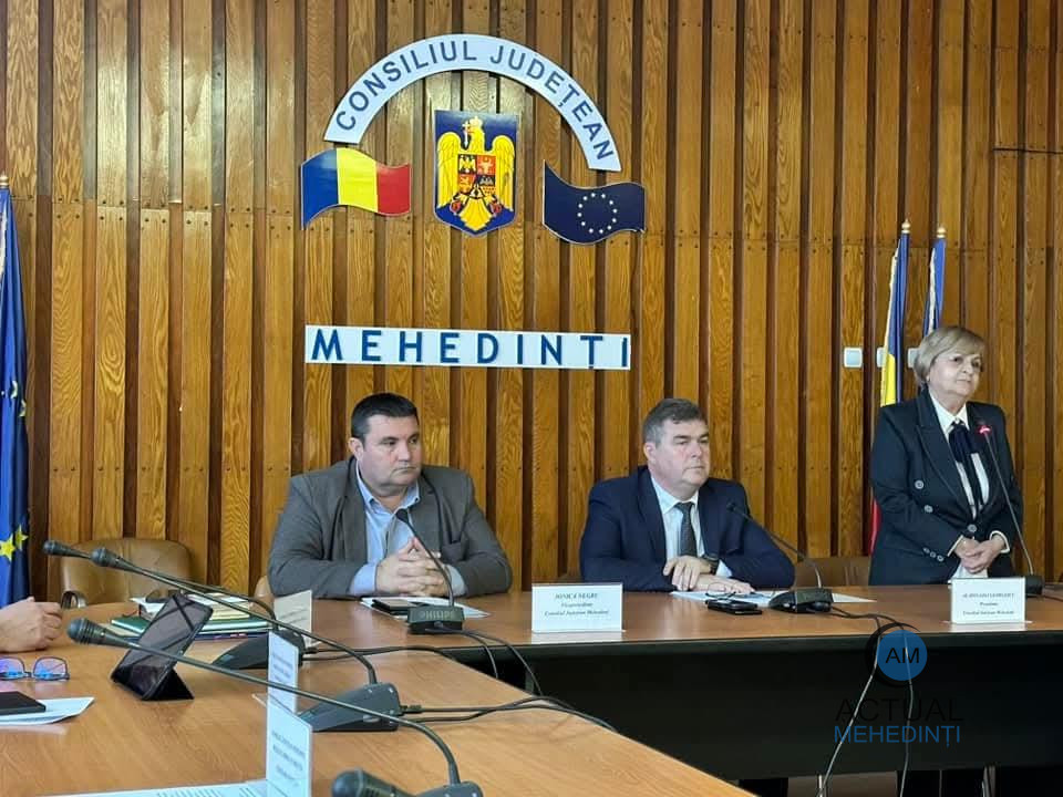 Doinița Chircu, vicepreședinte al Consiliului Județean Mehedinți!