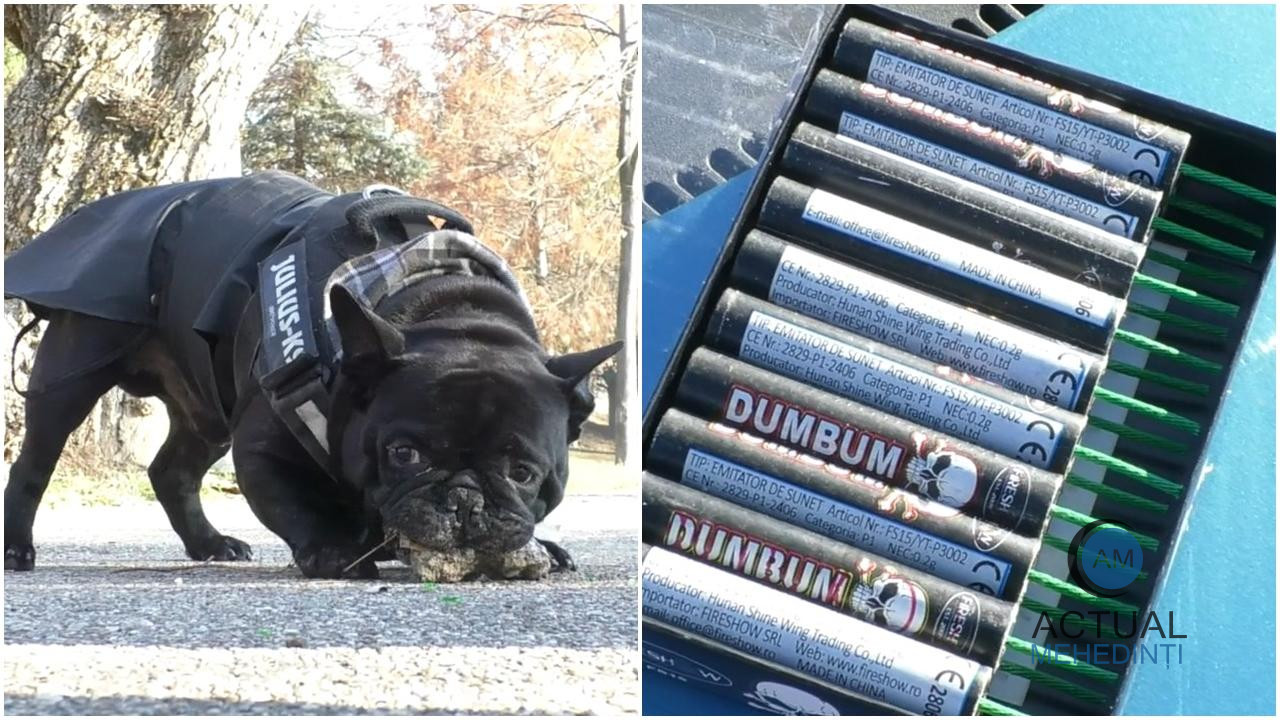 Pericolul din spatele distracției cu petarde: oamenii pot fi răniți, iar animalele se sperie de zgomotul puternic. Proprietarii animalelor trag un semnal de alarmă.