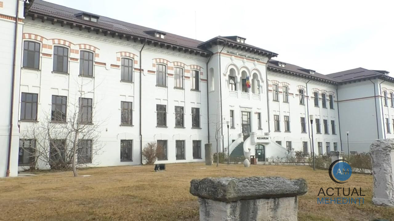 Misterul tezaurului dispărut în 2014 de la Muzeul Regiunii Porților de Fier: comoara nu a fost găsită și nimeni nu a fost tras la răspundere.