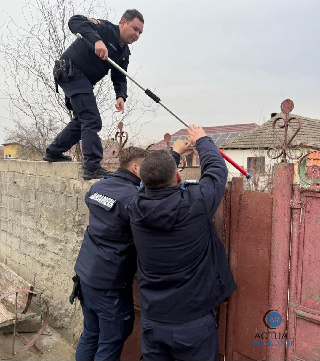 S-a închis în casă de frică, după ce câinele a devenit agresiv. Jandarmii au intervenit.