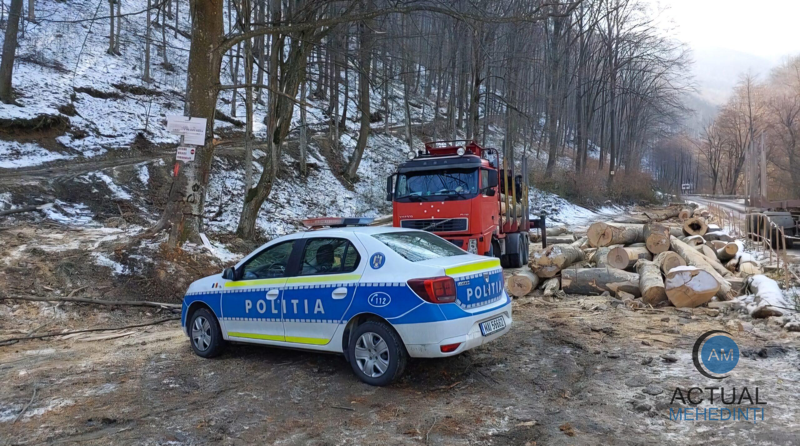 Accidentul de muncă din pădurea Firizu: nu au fost respectate măsurile de securitate și sănătate în muncă.