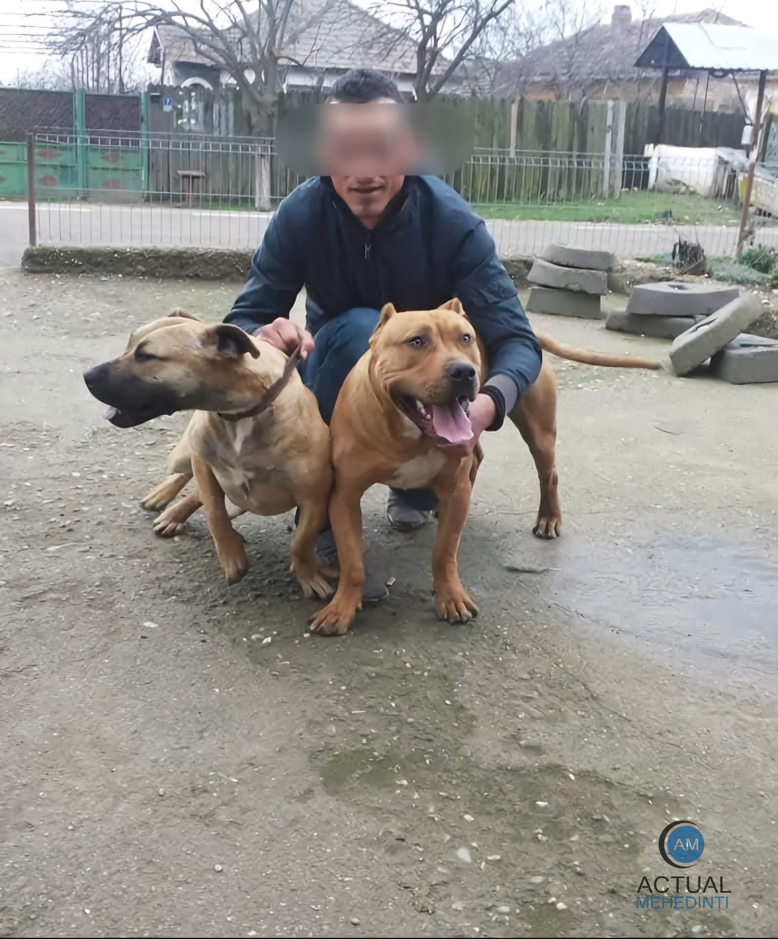 Lacrimi și durere, în urma lui Cristian, tânărul din Hinova, ucis din gelozie, în Dolj! Mâine, ar fi împlinit 32 de ani.