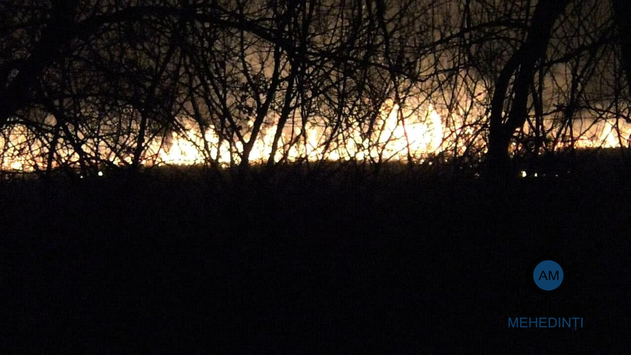 Incendiu de vegetație, puternic! Flăcările au izbucnit după ce fermierii ar fi pus focul pentru a igieniza terenurile agricole. 
