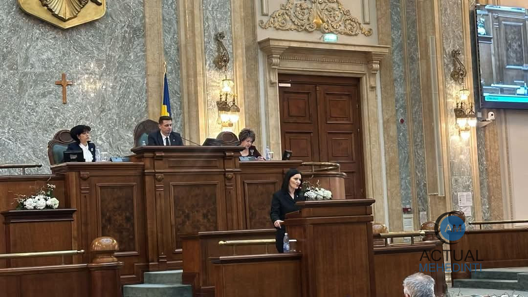 Proiectul pentru prevenirea consumului de droguri, în mass-media, aprobat! Senator de Mehedinți: „Avem datoria de a avertiza populația”