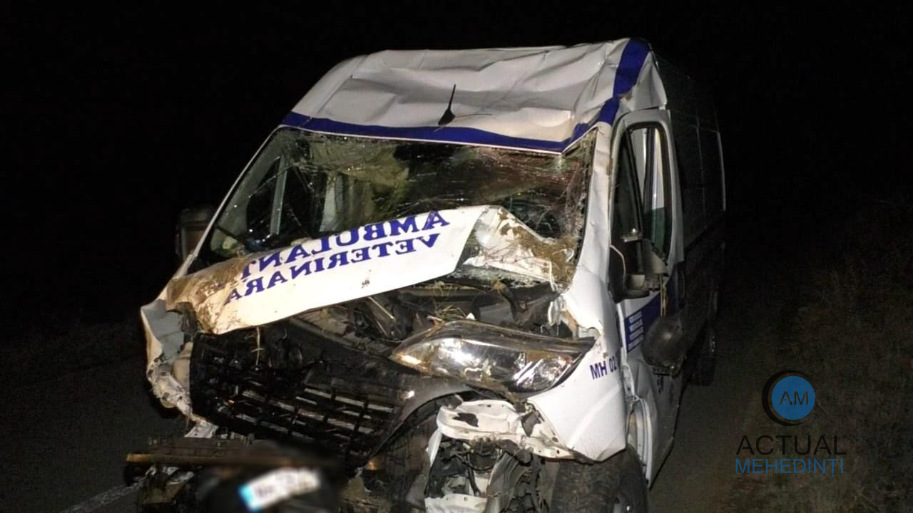 Șofer băut criță, accident cu mașina de serviciu! S-a răsturnat cu ambulanța veterinară în șanț.