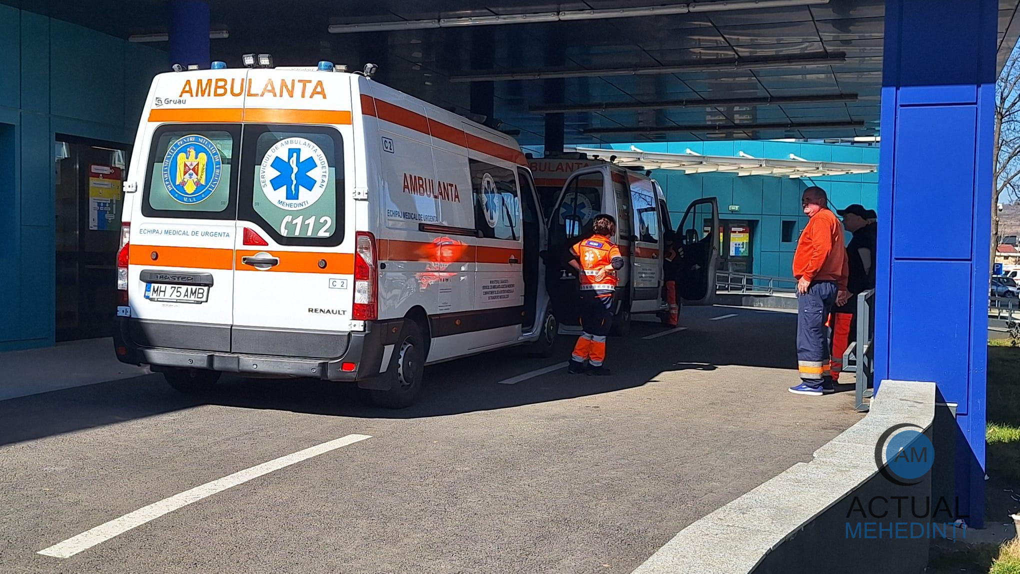 Copila mutilată de câinele familiei a decedat la spital.