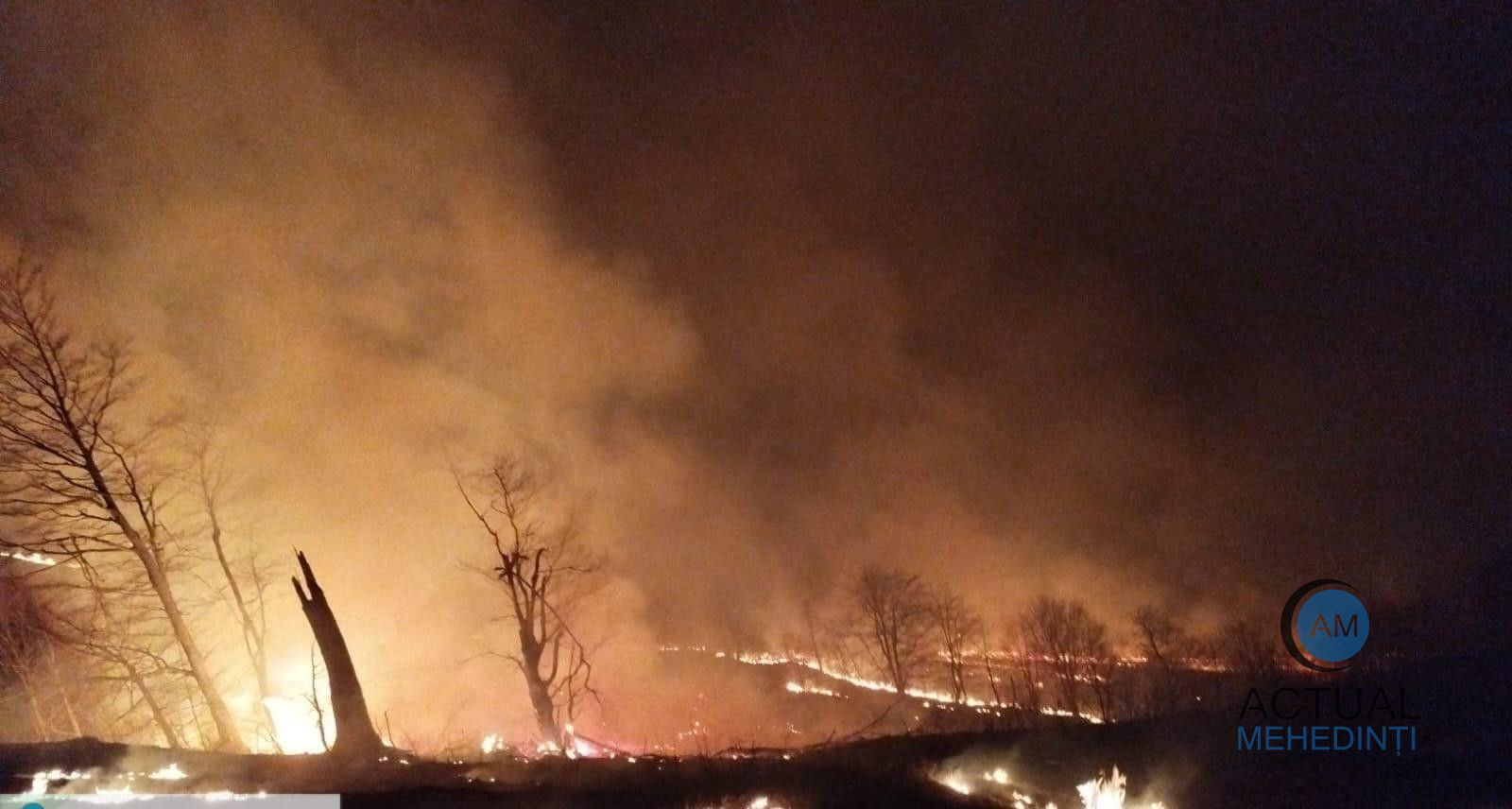 Incendiu de vegetație, violent, extins pe 30 de hectare! Pompierii luptă să stingă flăcările.