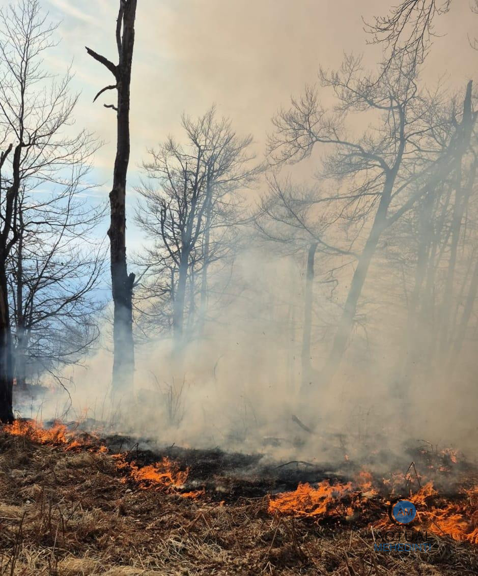 21 de mehedințeni, cercetați penal, după ce au dat foc vegetației uscate! Amenzi în valoare de 61.000 lei!