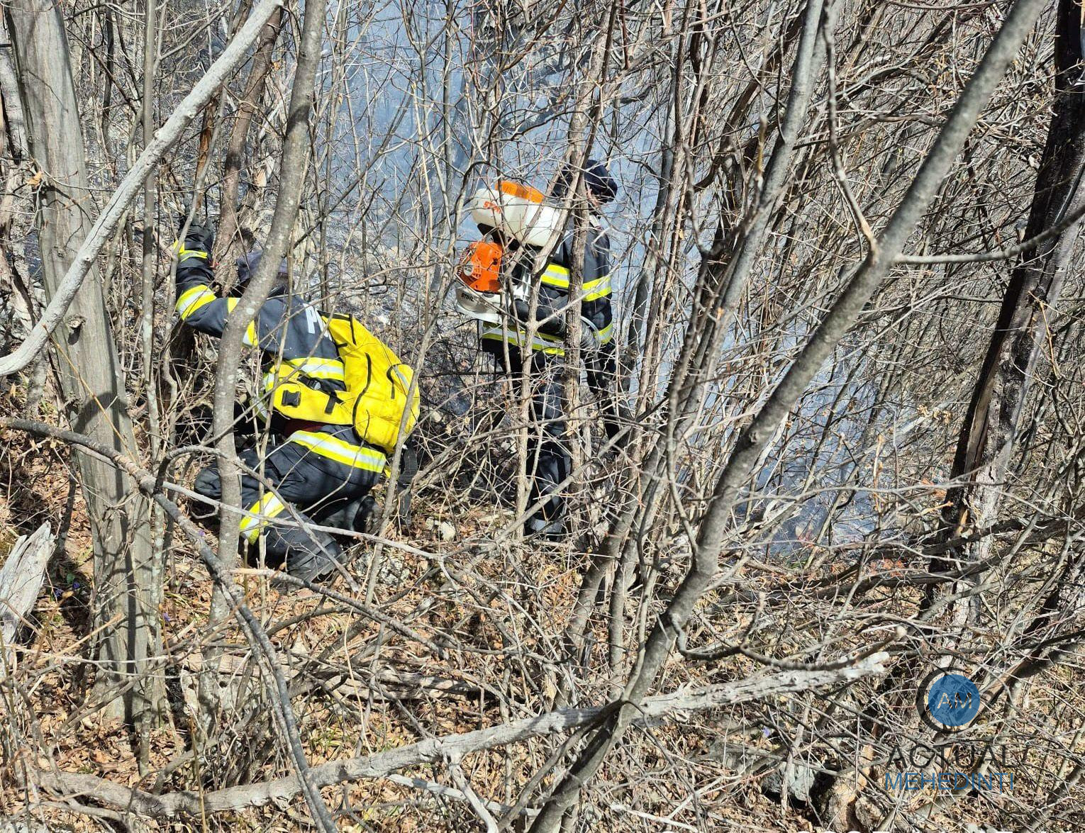 Sute de hectare de vegetație, mistuite de flăcări! Pompierii luptă să stingă incendiile, care se manifestă pe raza mai multor localități.