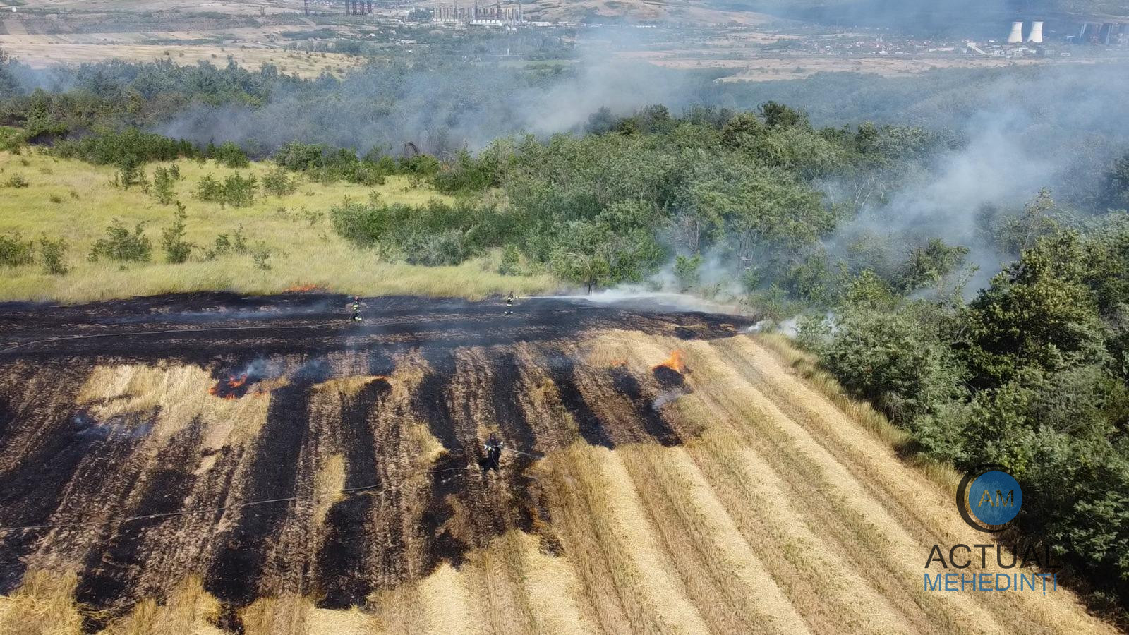 Fermierii din județ, care incendiază terenurile, rămân fără subvențiile de la APIA. 17 fermieri sunt în vizorul APIA.