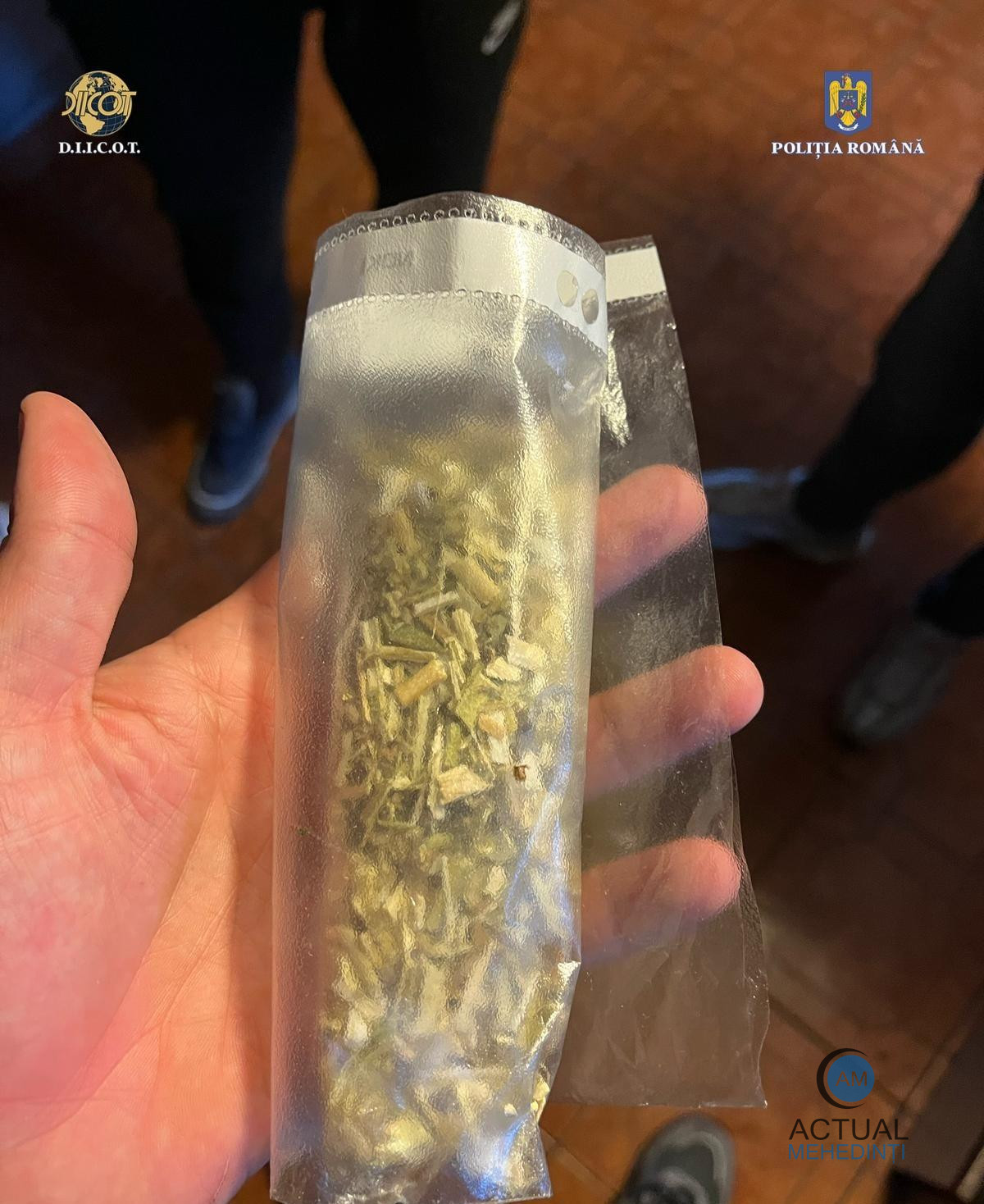 Tânăr de 22 de ani, din Broșteni, arestat pentru trafic de droguri de mare risc! Droguri confiscate în urma perchezițiilor!