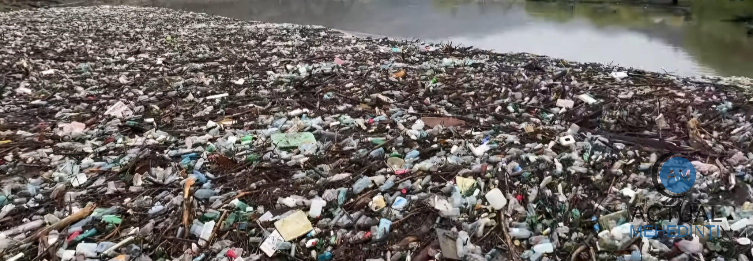 Tone de deșeuri, aduse de viitură, pe Dunăre, la Orșova!