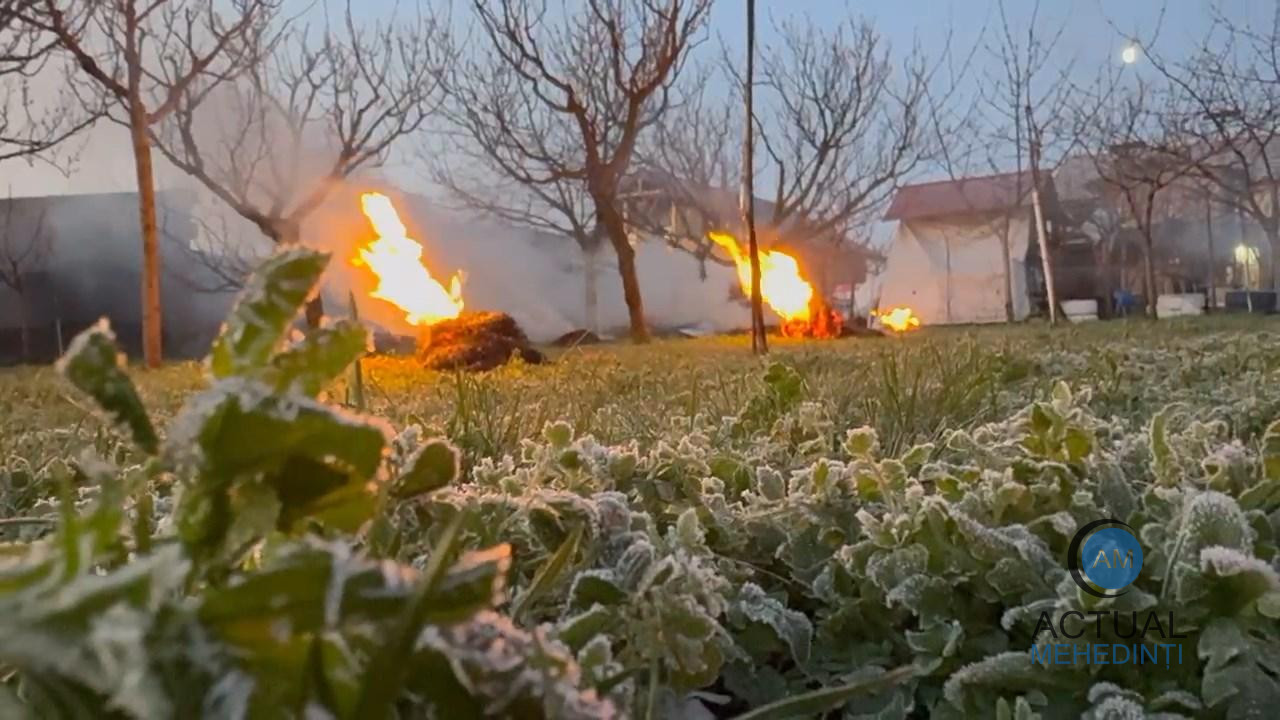 Noapte cu temperaturi sub 0 grade! Au pus foc pentru a salva pomii de îngheț. Florile unor specii de pomi, compromise!