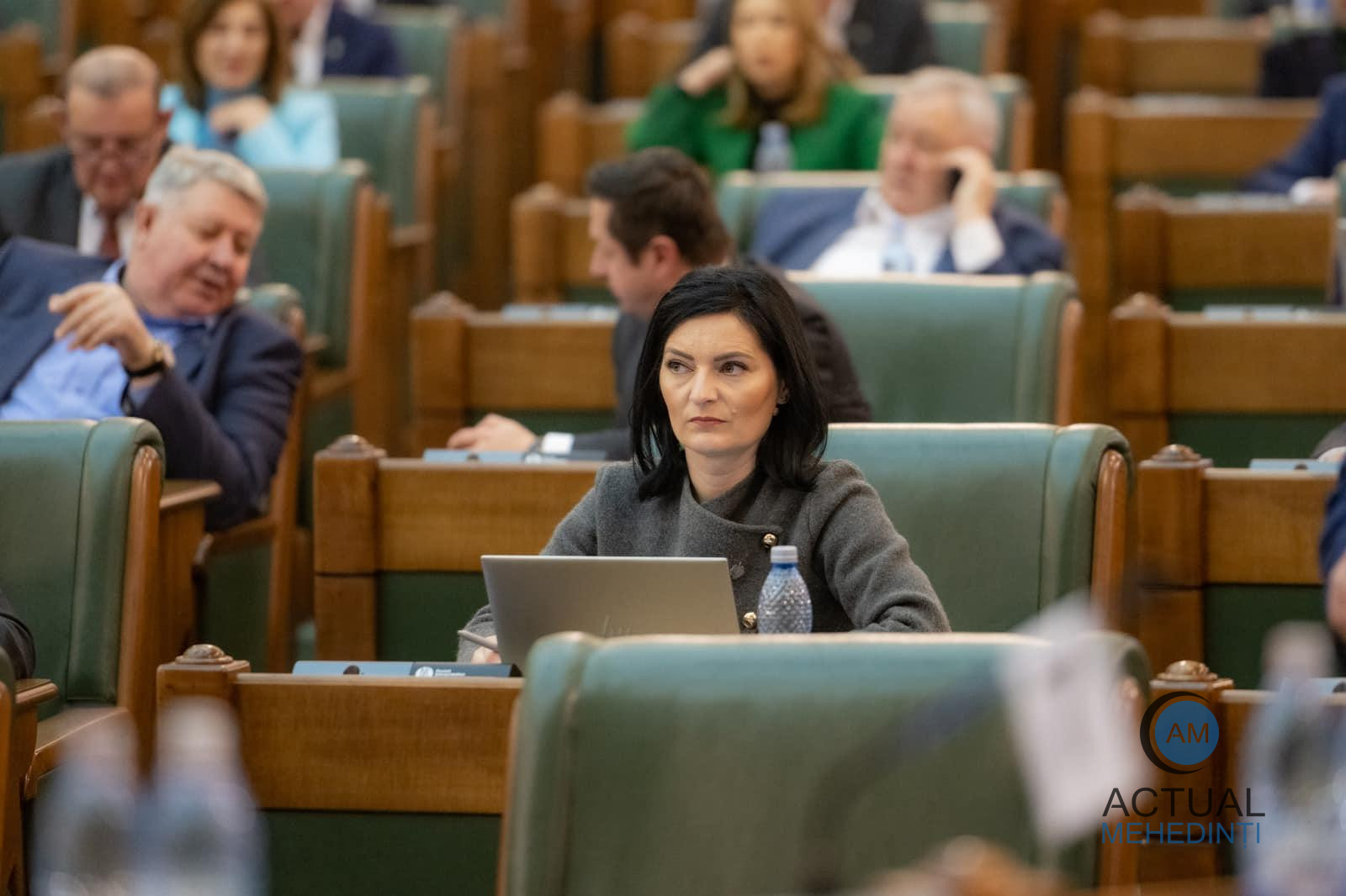 Parlamentar de Mehedinți: „După luna mai, partidele «suveraniste» vor deveni istorie”