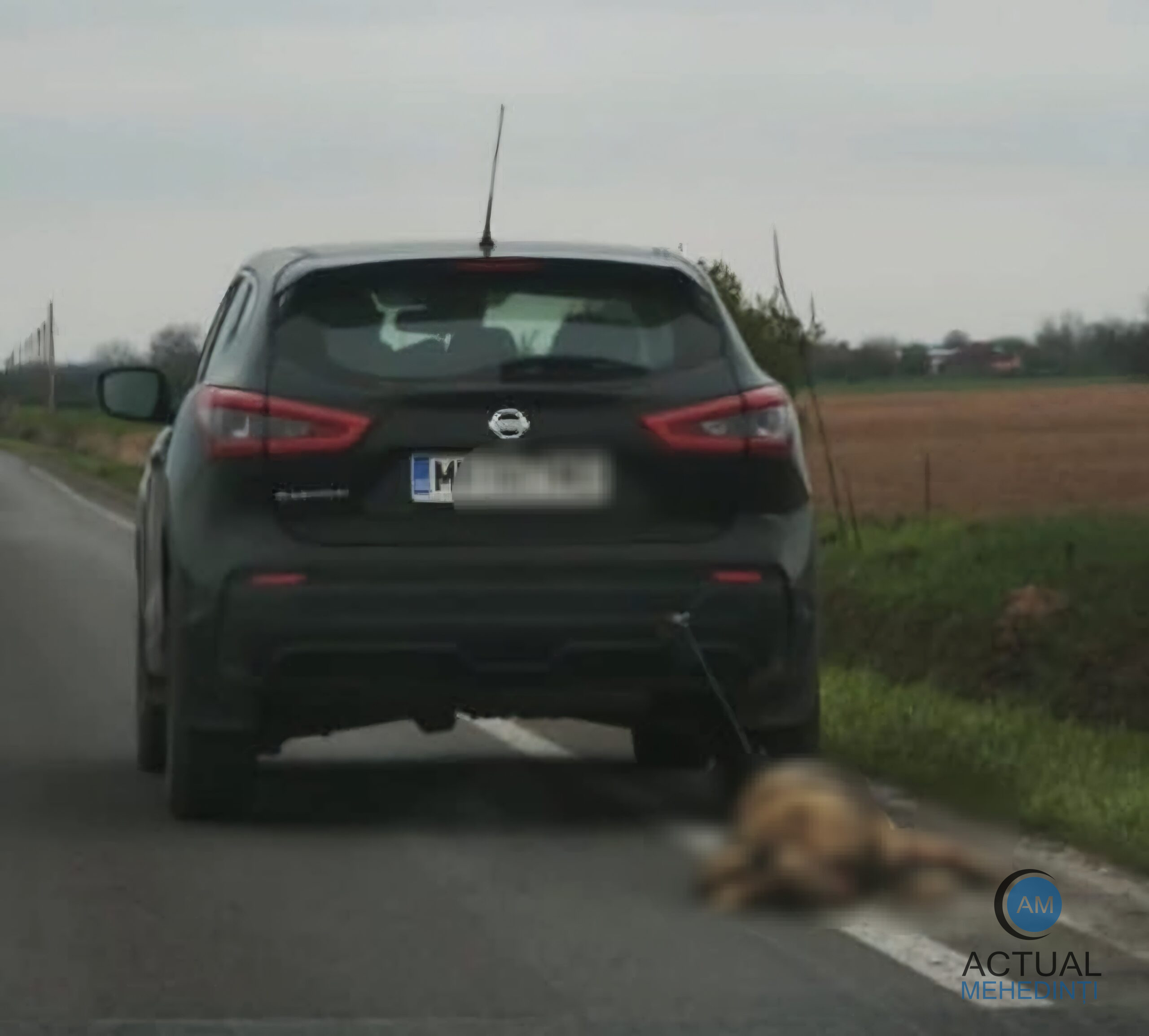 Bărbatul, care a târât un câine după mașină, pus sub control judiciar! Autoturismul, confiscat!