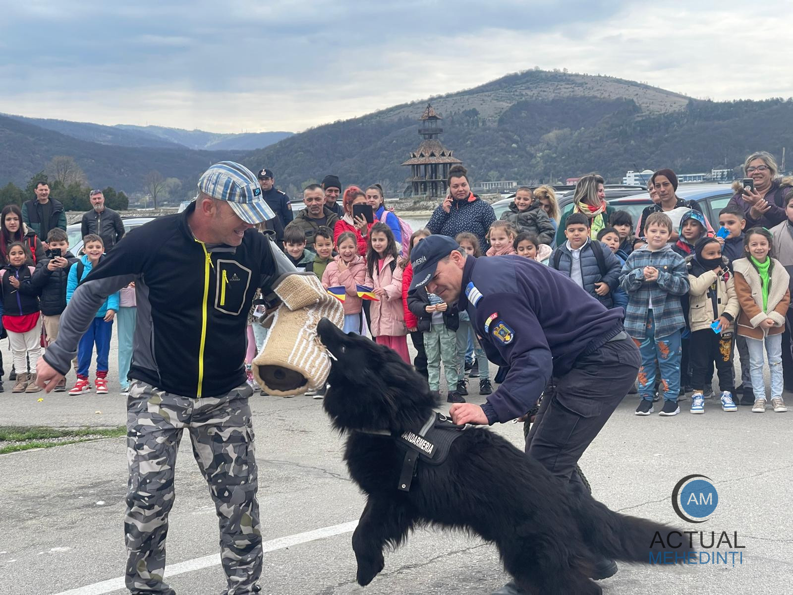 Ziua Jandarmeriei, în mijlocul elevilor: demonstrații, expoziție de armament și tehnică și exerciții cu personalul canin!