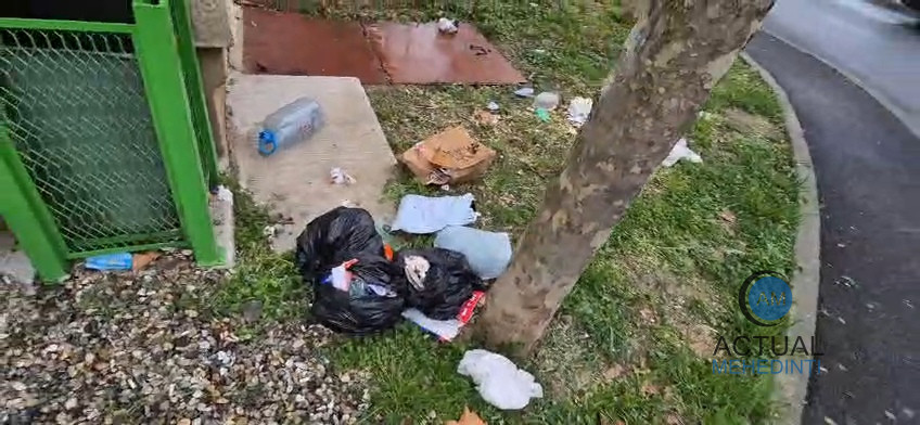 Certați cu spiritul civic: aruncă gunoiul menajer în și pe lângă coșurile stradale!